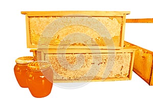 Hive. Beekeeping concept. Background texture of a section of wax honeycomb from a bee hive filled with golden honey