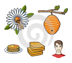 A hive on a branch, a bee on a flower, a honeycomb with honey, a honey cake.Apiary set collection icons in cartoon style
