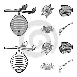 A hive on a branch, a bee on a flower, a honeycomb with honey, a honey cake.Apiary set collection icons in outline