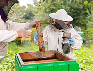 Hivers opening hive and using fumigator