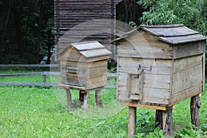 Hives. Bee apiary in nature.