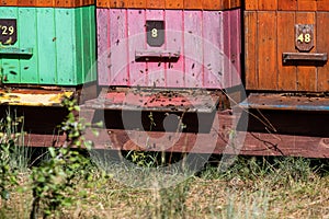 Hives with bees flying