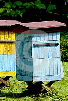 Hives for bees in the spring sun