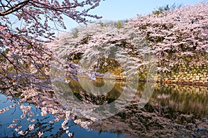Hkone, Japan in Spring Season