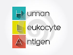 HLA - Human Leukocyte Antigen acronym, medical concept background