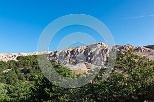 Hlam - Scenic hiking trail through idyllic conifer forest to majestic mountain ridges in coastal town Baska, Krk Otok