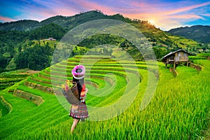 Hmong ethnic minority standing on rice terraces in Mu Cang Chai, Yen Bai, Vietnam photo