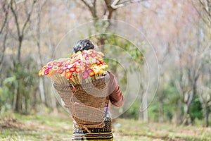 Hmong girl with tradiyional dress with basket