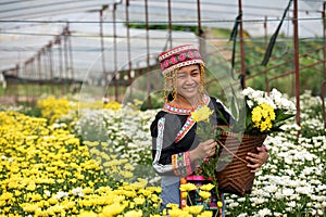 Hmong Woman holding Vibrant Yellow and White Chrysanthemums in Blooms and basket