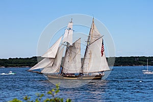 HMS Bounty in Newport Parade of Sail.