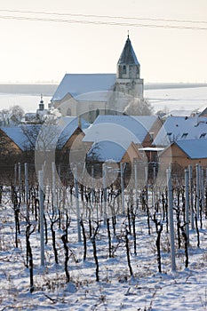 Hnanice with winter vineyard, Czech Republic