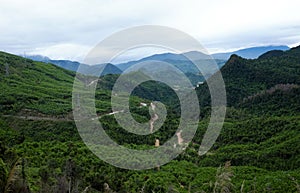 Ho Chi Minh trail, forest, mountain, terrain