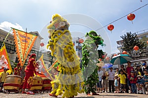 Ho Chi Minh, Vietnam - February 18, 2015 Lion dancing to celebrate Lunar New Year at Thien Hau Pagoda