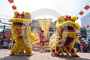 Ho Chi Minh, Vietnam - February 18, 2015 Lion dancing to celebrate Lunar New Year at Thien Hau Pagoda