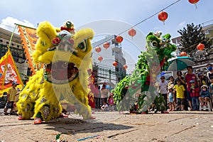 Ho Chi Minh, Vietnam - February 18, 2015 : Lion dancing to celebrate Lunar New Year at Thien Hau Pagoda