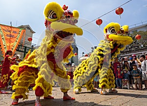 Ho Chi Minh, Vietnam - February 18, 2015 : Lion dancing to celebrate Lunar New Year at Thien Hau Pagoda