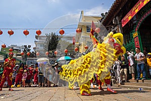 Ho Chi Minh, Vietnam - February 18, 2015 : Lion dancing to celebrate Lunar New Year at Thien Hau Pagoda