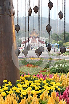 Ho Luang