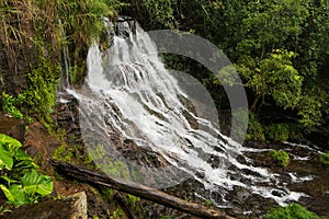 Hoopii Falls photo