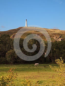 Hoad hill historic 19th century monument in Ulverston with a horse grazing in a meadow