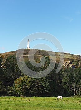 hoad hill historic 19th century monument in Ulverston with a horse grazing in a meadow