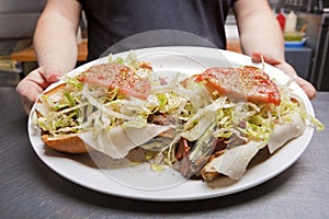 Hoagie Open Faced Submarine Sandwich on a plate