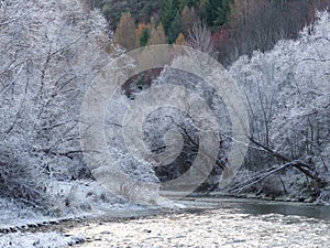 Hoar frost on the Arrow River, Arrowtown, New Zealand