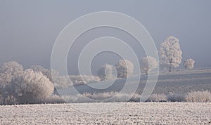 Hoar frost, Cotswolds