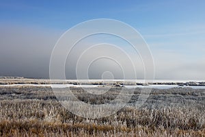 Hoar frost on prairie marsh