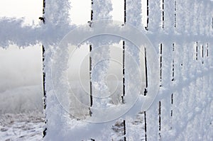 Hoar frost on wire fence