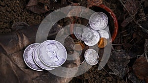 hoard of old coins found in the forest photo