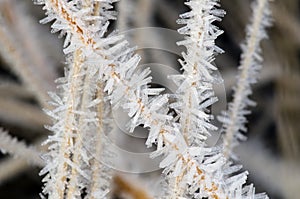 Hoarfrost