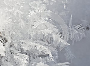 Hoarfrost