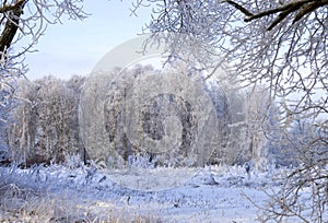 Hoarfrost