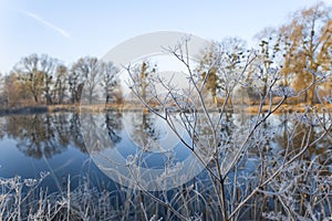 Hoarfrost.