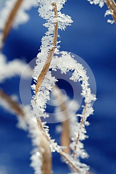 Hoarfrost