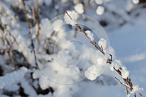 Hoarfrost background texture. Fresh ice and snow winter backdrop with snowflakes and mounds. Seasonal wallpaper.