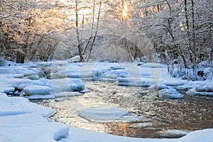 Hoarfrost covered tree