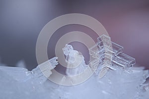 Hoarfrost Ice Crystals in the Arctic Winter