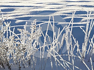 Hoarfrost ice crystals create geometric designs on meadow grass