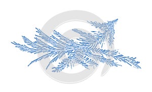 Hoarfrost Ice Frost Composition