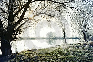 Hoarfrost landscape on Havel River Havelland, Germany