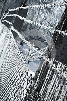 Hoarfrost on mesh