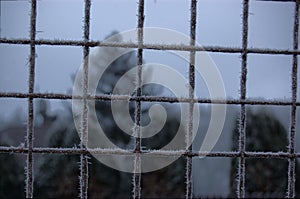 Hoarfrost on metal fence, Bohemia