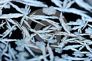 Hoarfrost pattern on a dark glass