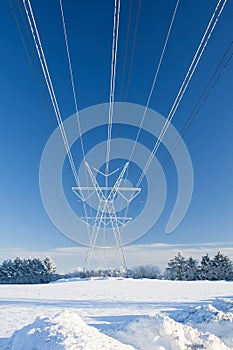 Hoarfrost on the Power Line