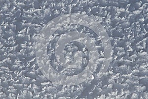 Hoarfrost on Snow Detail Background