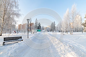 Hoarfrost trees in boulevard in microdistrict 20 Zelenograd in Moscow, Russia