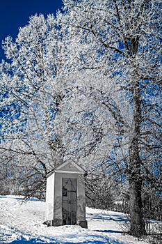 Hoarfrost on trees