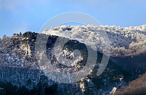 Hoarfrost on trees in a mountain forest